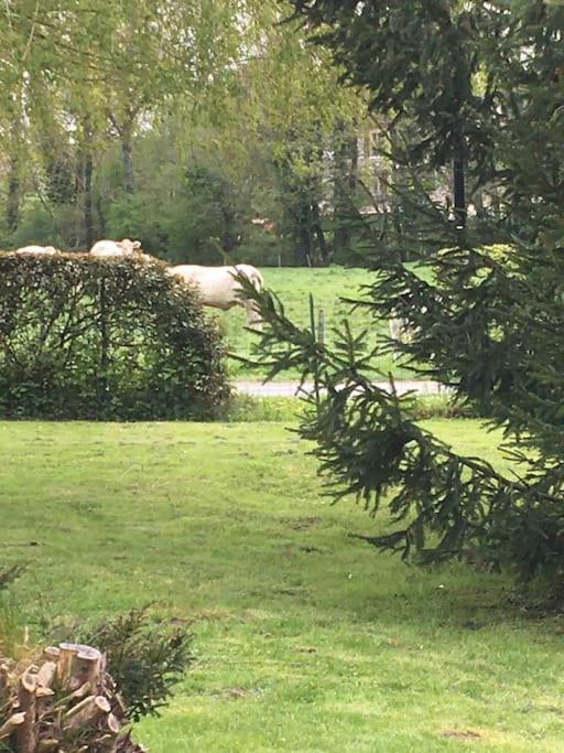 Cottage De Charme A La Campagne Aulnoy Exteriör bild