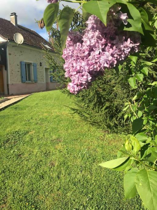 Cottage De Charme A La Campagne Aulnoy Exteriör bild